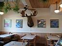 IMG_0509.JPG: Hopland, Bluebird Cafe: Moose room - Elg stue