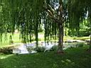 IMG_0581.JPG: Hopland: Solar Center lake - Sol center soe