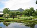 IMG_0585.JPG: Hopland: Solar Center lake with fish - Sol center soe med fisk