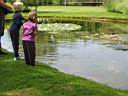 IMG_0589.JPG: Hopland: Solar Center feeding the fish - Sol center fisk fodres