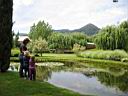 IMG_0590.JPG: Hopland: Solar Center feeding the fish - Sol center fisk fodres