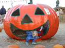 IMG_1429.JPG