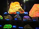 IMG_2150.JPG