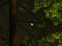 IMG_2646.JPG